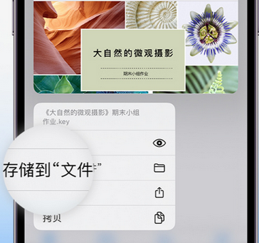 龙凤apple维修中心分享iPhone文件应用中存储和找到下载文件