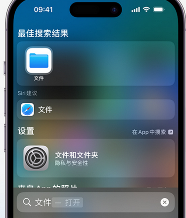 龙凤apple维修中心分享iPhone文件应用中存储和找到下载文件 