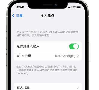 龙凤apple服务站点分享iPhone上个人热点丢失了怎么办 