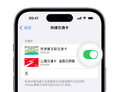 龙凤apple维修点分享iPhone上更换Apple Pay快捷交通卡手绘卡面 