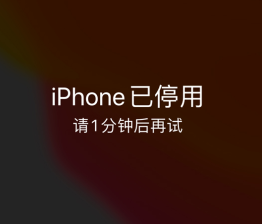 龙凤苹果手机维修分享:iPhone 显示“不可用”或“已停用”怎么办？还能保留数据吗？ 