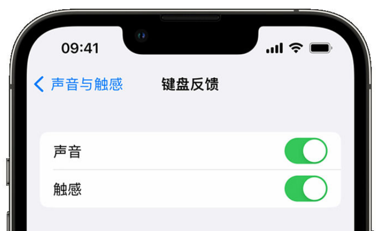 龙凤苹果手机维修分享iPhone 14触感键盘使用方法 