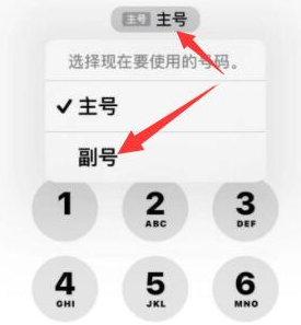 龙凤苹果14维修店分享iPhone 14 Pro Max使用副卡打电话的方法 