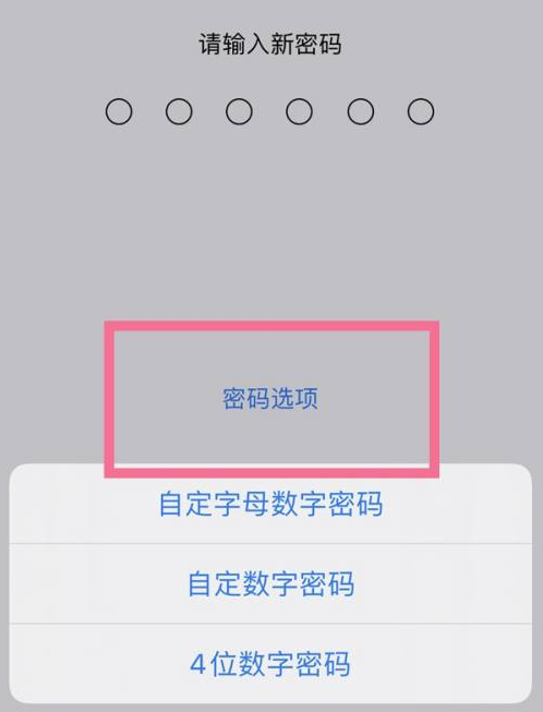 龙凤苹果14维修分享iPhone 14plus设置密码的方法 