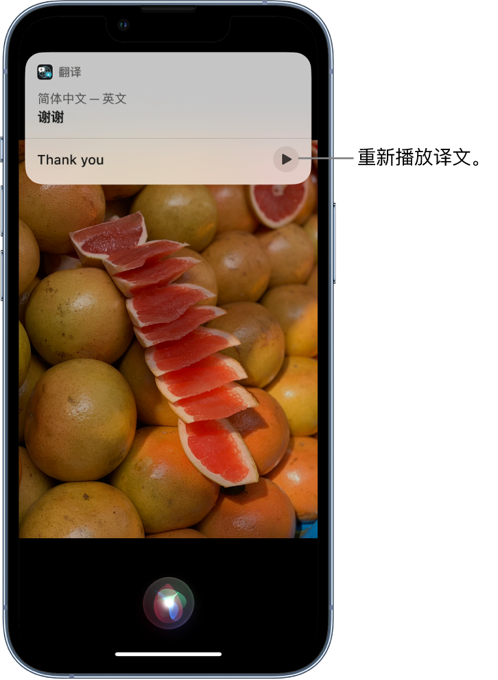 龙凤苹果14维修分享 iPhone 14 机型中使用 Siri：了解 Siri 能帮你做什么 