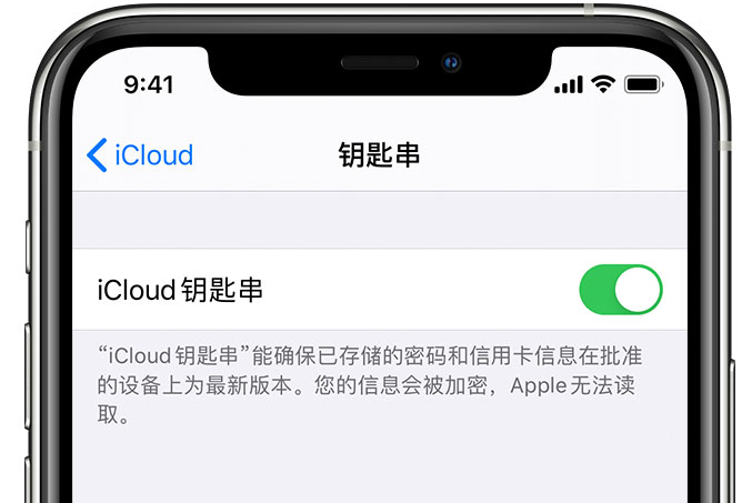 龙凤苹果手机维修分享在 iPhone 上开启 iCloud 钥匙串之后会储存哪些信息 