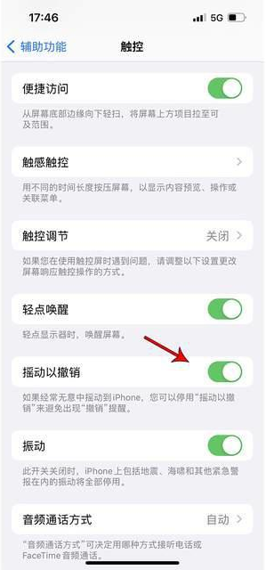 龙凤苹果手机维修分享iPhone手机如何设置摇一摇删除文字 