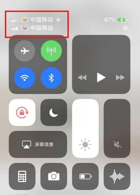 龙凤苹果手机维修分享为 iPhone 12 双卡设置标签 
