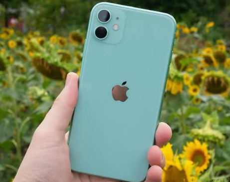 龙凤苹果维修点分享iPhone 11锁屏密码认知与使用科普 