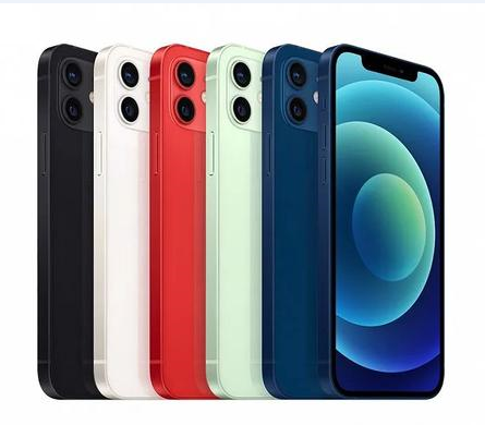 龙凤苹果维修点分享iPhone 12 Pro Max黑屏冷门故障解读 