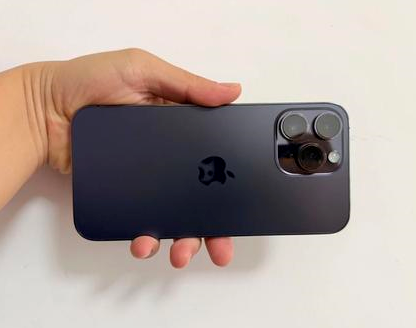 龙凤苹果维修点分享iPhone 14 Pro Max发烫多重诱因剖析 